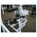 Life Fitness Back Extension