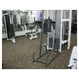 Parabody Vertical Knee Raise / Chin Dip