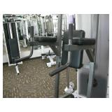 Parabody Vertical Knee Raise / Chin Dip