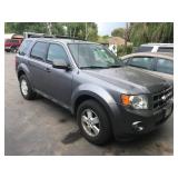 2010 Ford Escape XLT
