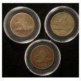 (3) 1858 US FLYING EAGLE CENTS IN AIRTITE HOLDERS
