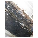 Vintage Chevrolet Tailgate