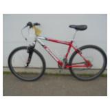 Schwinn Bicycle