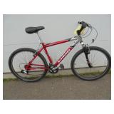 Schwinn Bicycle