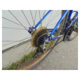 Magna Bicycle
