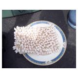 Tote with Wood Bowls, Plates, Picture Frames and Numerous Misc. Items