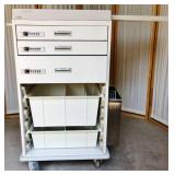 Retails $2000 ALERT!! Mechanics Bead Crafters Carpenters Home Hobbyists Medical Clinics This Cart Has Many Drawers & Is Mobile!! Innerspace Medical Supply Cart Model: 6175H