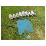 Duck Decoys