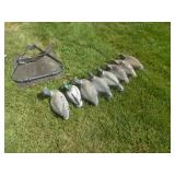 Duck Decoys