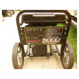 SnS Auctions # 331 Late Summer Sale