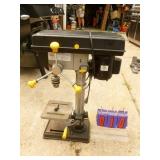 SnS Auctions # 331 Late Summer Sale