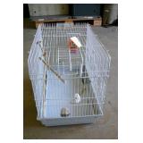 Wire Bird Cage