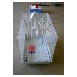 Wire Bird Cage