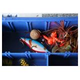 Fishing Supplies and Gear