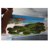 Fishing Supplies and Gear