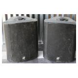 Indoor/Outdoor Speakers