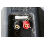 Indoor/Outdoor Speakers