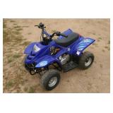 Kids Four Wheeler