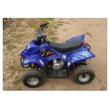 Kids Four Wheeler