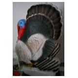 Yard Care and Yard Décor