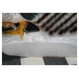 Yard Care and Yard Décor