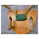 Deer Antler Gun Rack