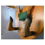 Deer Antler Gun Rack