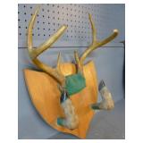 Deer Antler Gun Rack