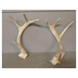 Antler Sheds