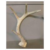 Antler Sheds