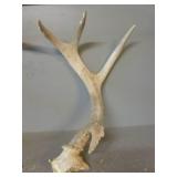 Antler Sheds