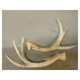 Antler Sheds