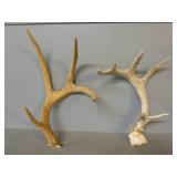 Antler Sheds