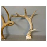 Antler Sheds