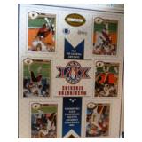 Sports Collectible
