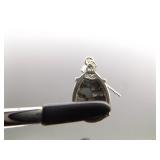 .925 Sterling Silver Abalone Shell Dangle Post Earrings