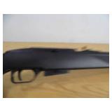 Pellet Gun