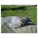DUCK DECOYS