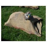 DUCK DECOYS