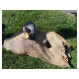 DUCK DECOYS