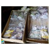 72 Butterfly Picks; 4 different col...
