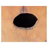 Wood Duck House