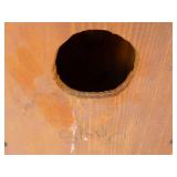 Wood Duck House