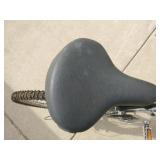 Riptide Pacific 21 Speed Bicycle