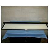 Quartet, Ceiling or Wall Mountable, Manual Pull Movie / Projection Screen