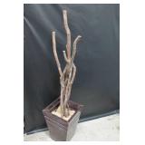 Decorative Black Metal Indoor/Outdoor Pot with Real Wood Tree Branches - Slight Dents