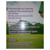 New dino - stackers toy. Tyrannosaurus Rex