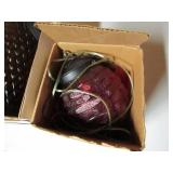 Pet Carrier & Lights