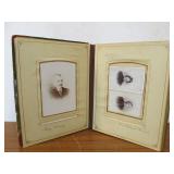 Antique Victorian Photo Album w/Some Photos