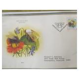 5 FULL Albums of Featuring First Day Covers From Around The World